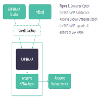 Protecting SAP HANA Application Server with Arcserve® Backup Arcserve Backup Sap Hana