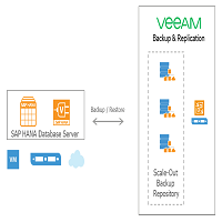 Veeam Backup Sap Hana - Veeam Plug-in for SAP HANA